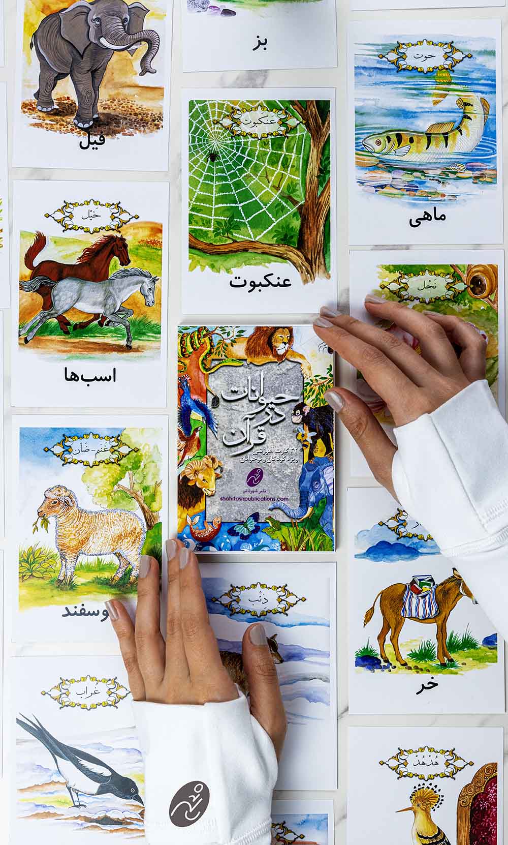 حیوانات در قرآن